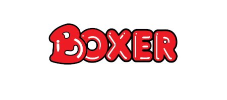 Boxer Retail Limited